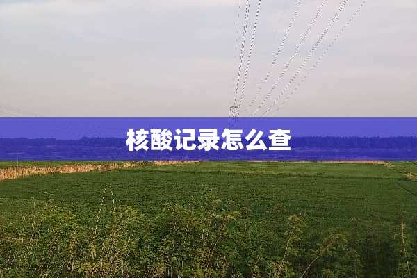 核酸记录怎么查