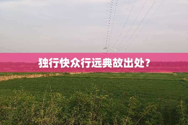 独行快众行远典故出处？