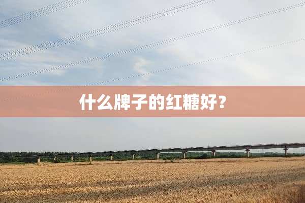 什么牌子的红糖好？