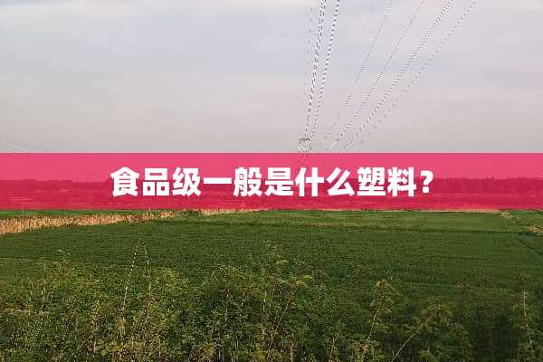 食品级一般是什么塑料？