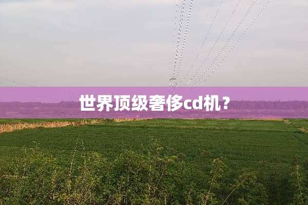 世界**奢侈cd机？