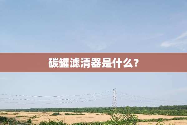 碳罐滤清器是什么？