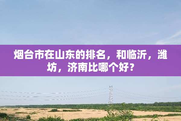 烟台市在山东的排名，和临沂，潍坊，济南比哪个好？