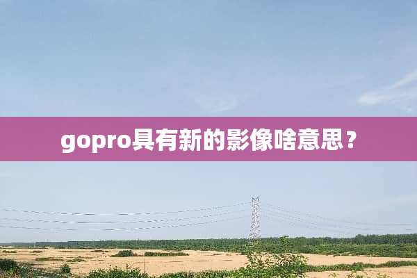 gopro具有新的影像啥意思？