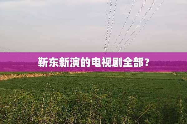 靳东新演的电视剧全部？
