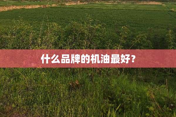 什么品牌的机油最好？