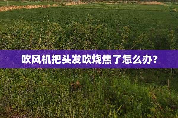 吹风机把头发吹烧焦了怎么办？