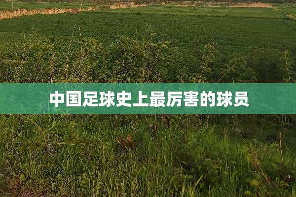 中国**史上最厉害的球员