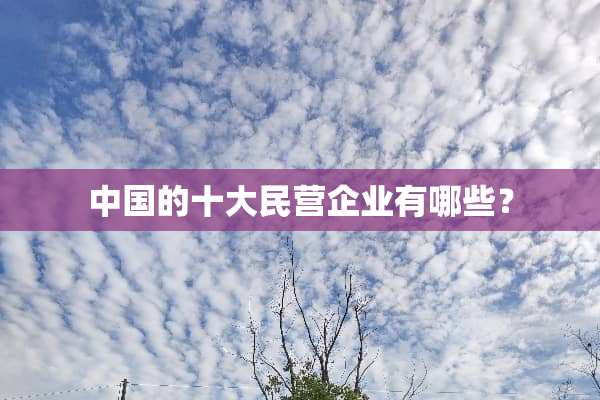 中国的十大民营企业有哪些？