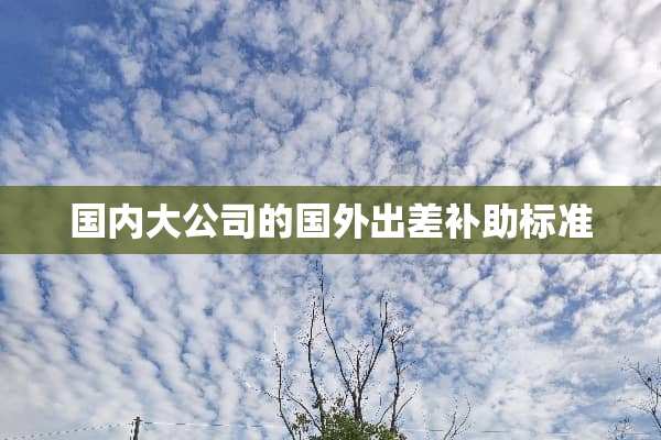 国内大公司的国外出差补助标准