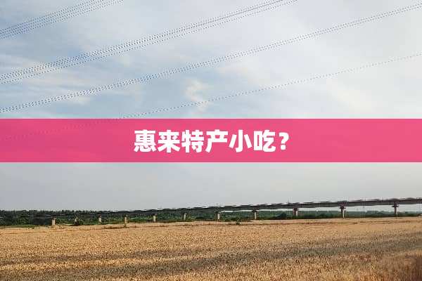 惠来特产小吃？