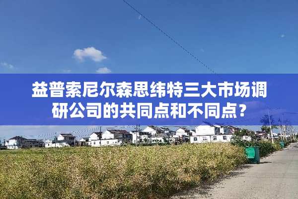益普索尼尔森思纬特三大市场调研公司的共同点和不同点？