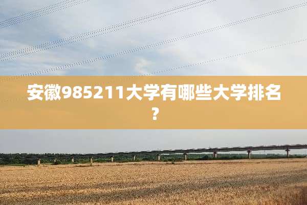 安徽985211大学有哪些大学排名？