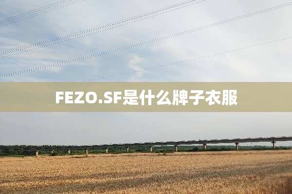 FEZO.SF是什么牌子衣服