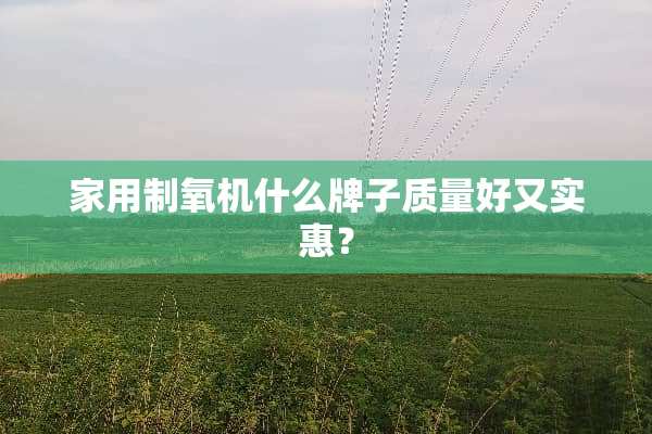 家用制氧机什么牌子质量好又实惠？