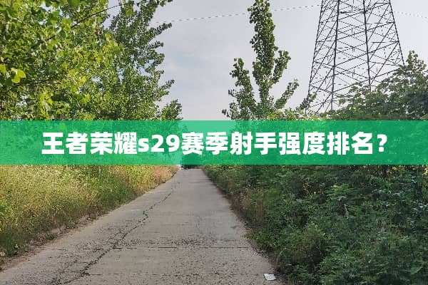 王者荣耀s29赛季射手强度排名？