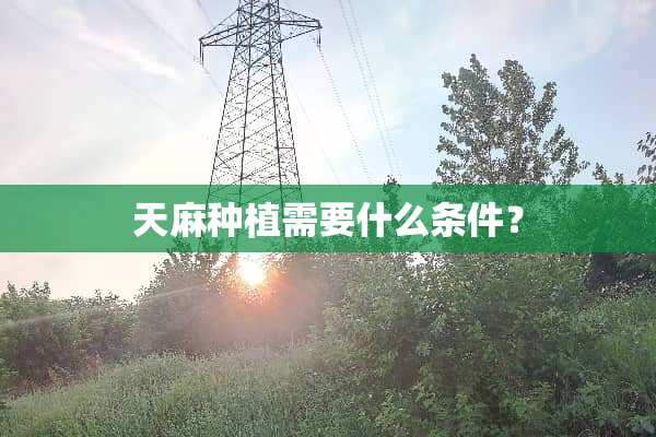 天麻种植需要什么条件？