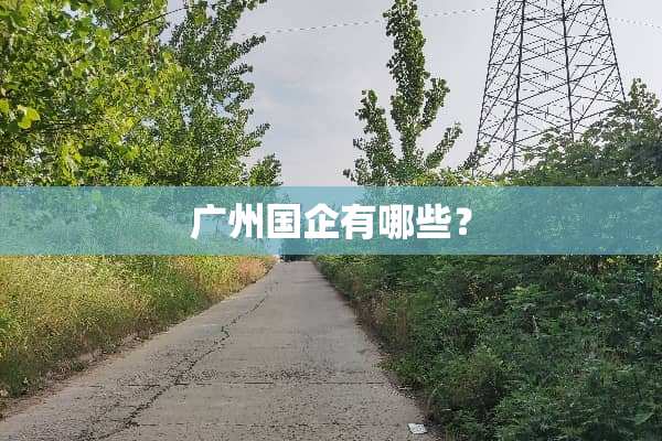 广州国企有哪些？