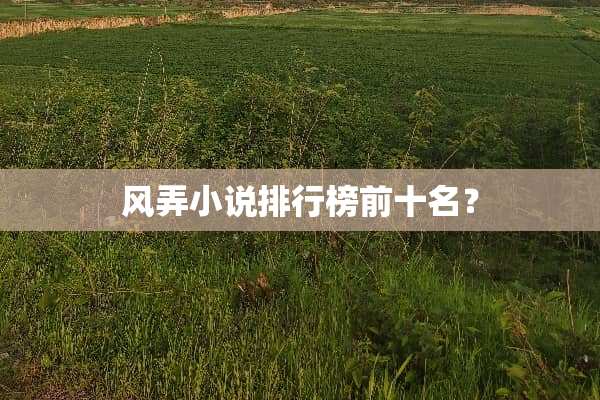 风弄小说排行榜前十名？