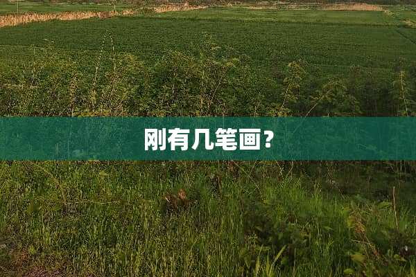刚有几笔画？