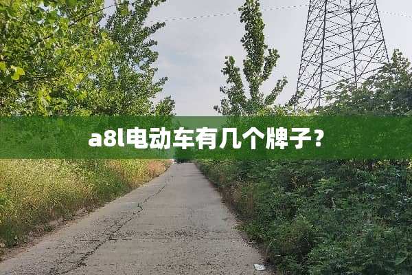 a8l电动车有几个牌子？