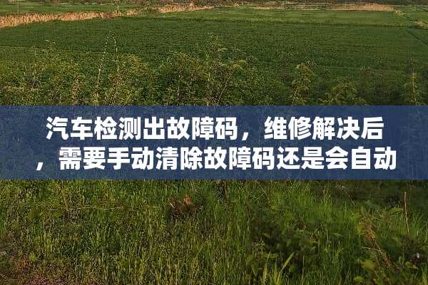 汽车检测出故障码，维修解决后，需要手动清除故障码还是会自动消失？