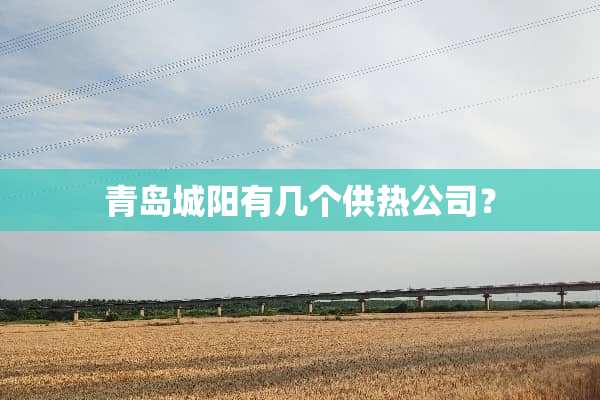 青岛城阳有几个供热公司？
