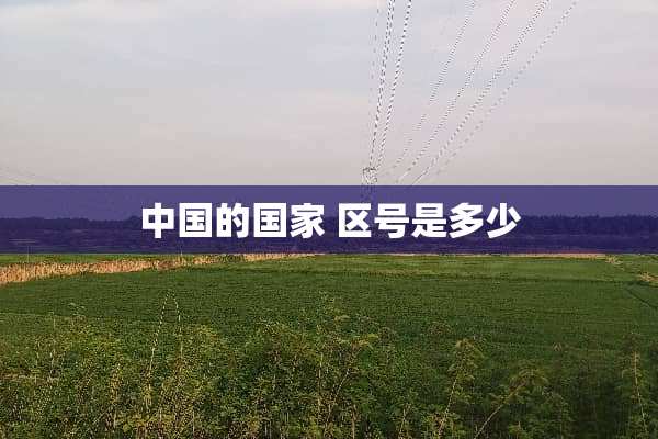 中国的国家 区号是多少