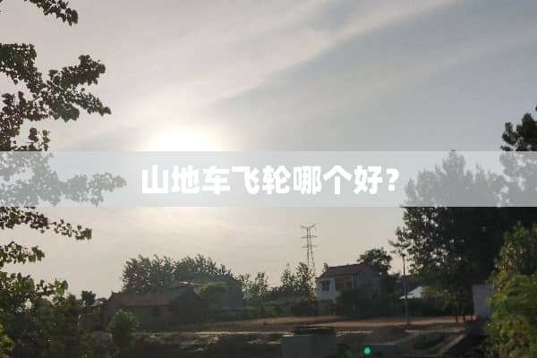 山地车飞轮哪个好？