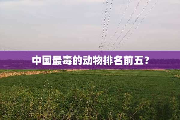 中国最毒的动物排名前五？