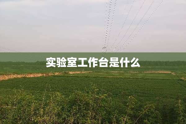 实验室工作台是什么