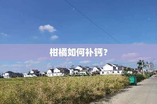 柑橘如何补钙？