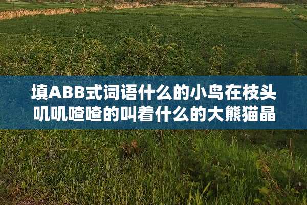填ABB式词语什么的小鸟在枝头叽叽喳喳的叫着什么的大熊猫晶晶有味的吃着竹叶？