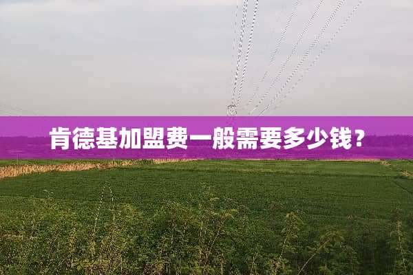 肯德基加盟费一般需要多少钱？