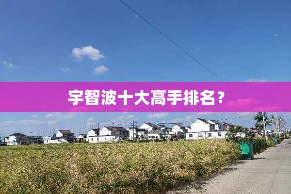 宇智波十大高手排名？