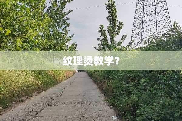 纹理烫教学？