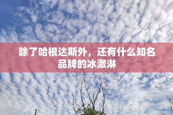除了哈根达斯外，还有什么知名品牌的冰激淋