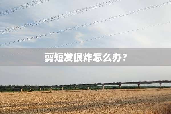 剪短发很炸怎么办？