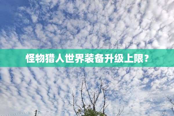 怪物猎人世界装备升级上限？