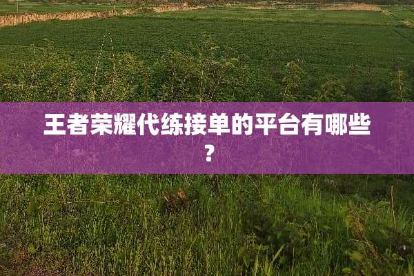 王者荣耀代练接单的平台有哪些？