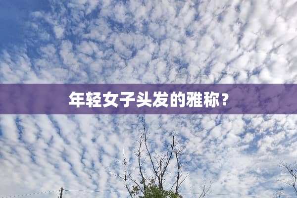 年轻女子头发的雅称？