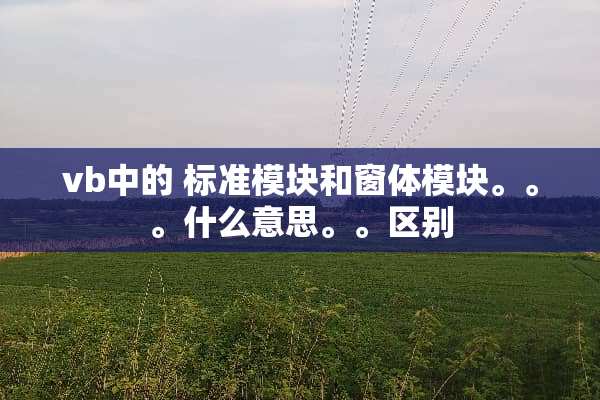 vb中的 标准模块和窗体模块。。。什么意思。。区别