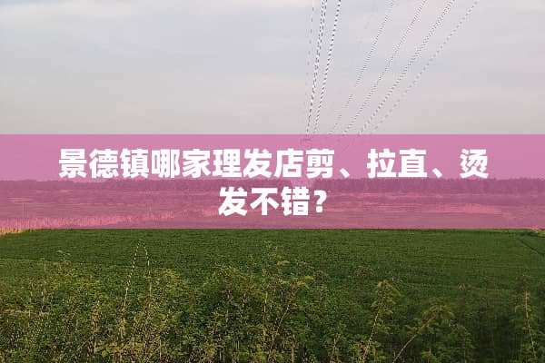 景德镇哪家理发店剪、拉直、烫发不错？