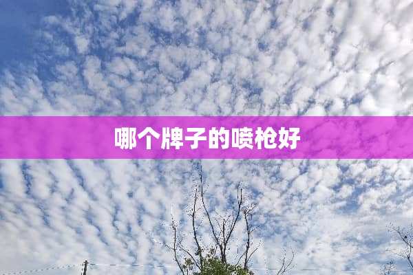 哪个牌子的喷*好