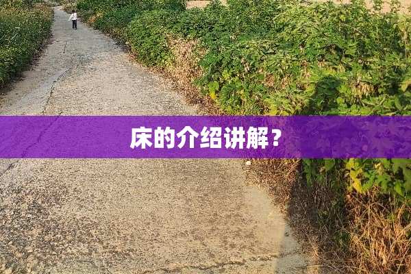 床的介绍讲解？
