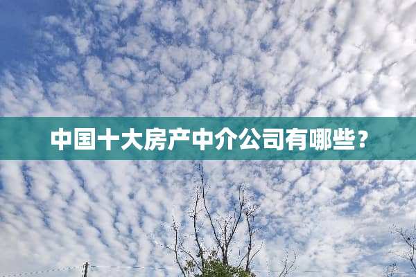中国十大房产中介公司有哪些？