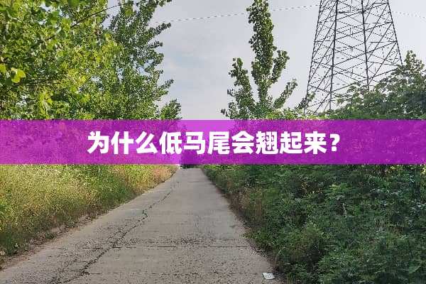 为什么低马尾会翘起来？