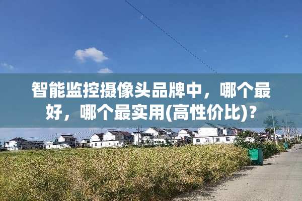 智能监控**头品牌中，哪个最好，哪个最实用(高性价比)？