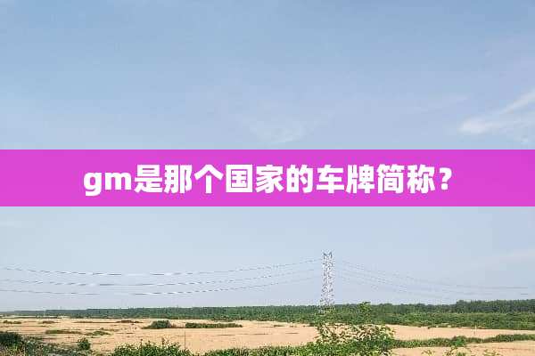 gm是那个国家的车牌简称？