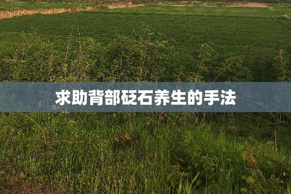 求助背部砭石养生的手法